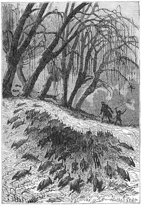 Таинственный остров (др. перевод) p117.jpg