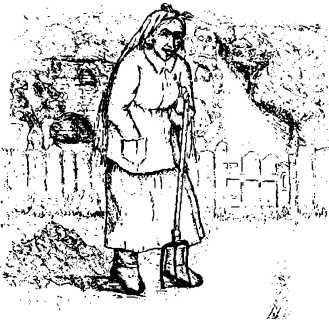 i_019.jpg