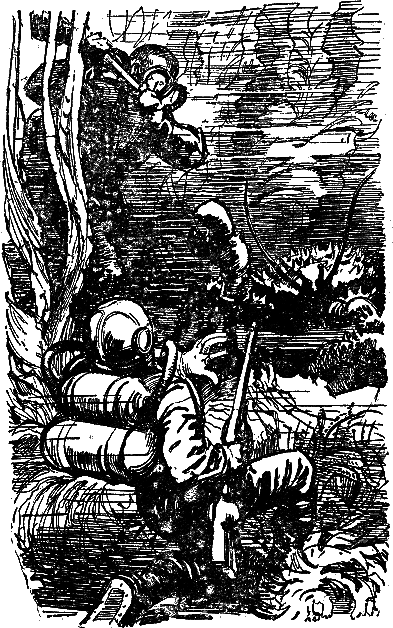 Двадцать тысяч лье под водой (илл. П. Луганского) i_019.png