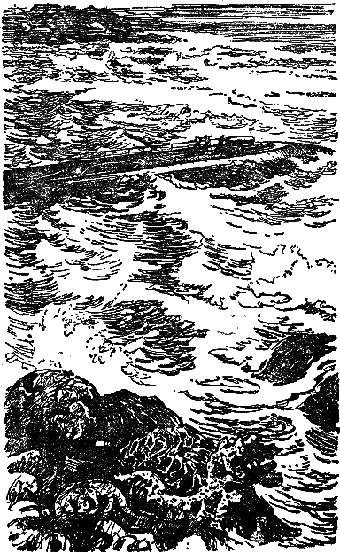Двадцать тысяч лье под водой (илл. П. Луганского) i_024.png