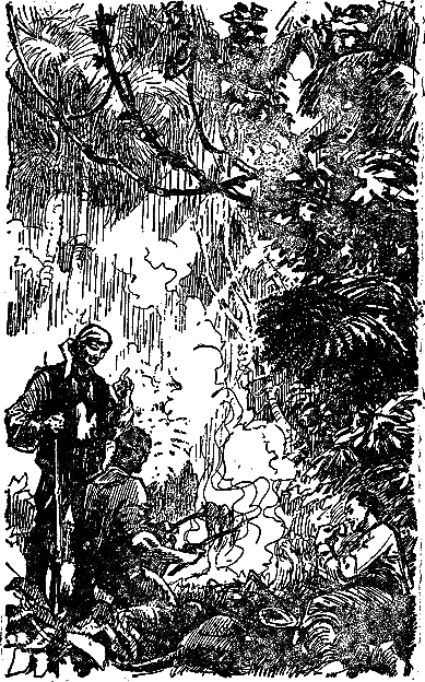Двадцать тысяч лье под водой (илл. П. Луганского) i_028.png