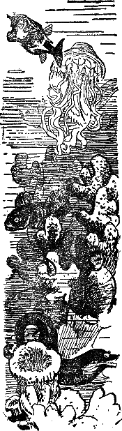 Двадцать тысяч лье под водой (илл. П. Луганского) i_039.png