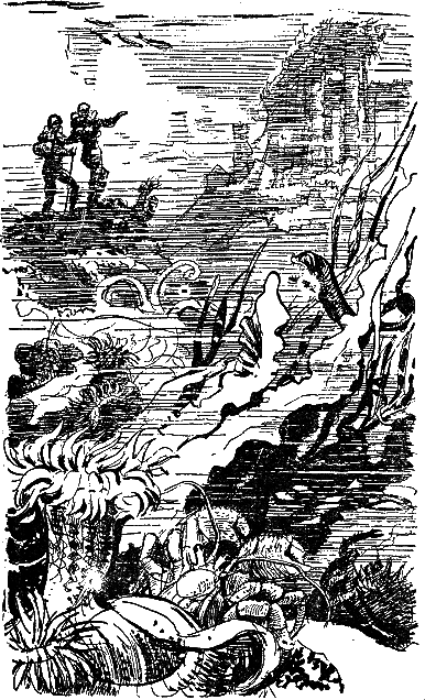 Двадцать тысяч лье под водой (илл. П. Луганского) i_046.png