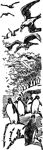 Двадцать тысяч лье под водой (илл. П. Луганского) i_053.png
