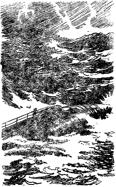 Двадцать тысяч лье под водой (илл. П. Луганского) i_058.png