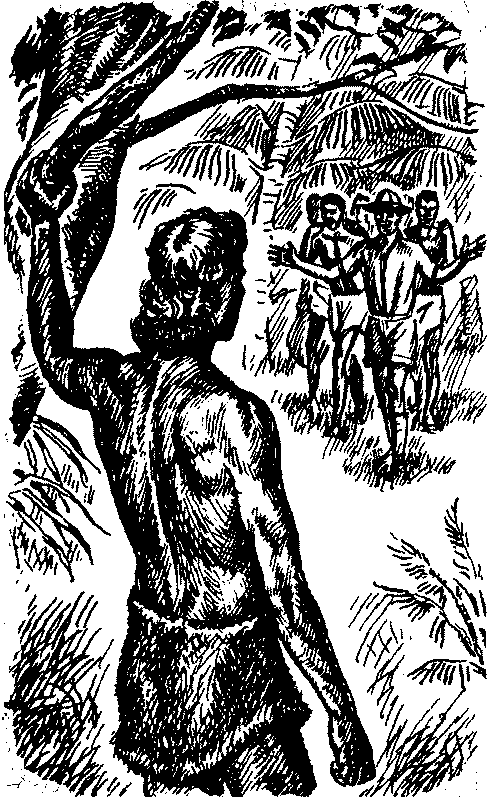 Тарзан в Пеллюсидаре id98134__5.png