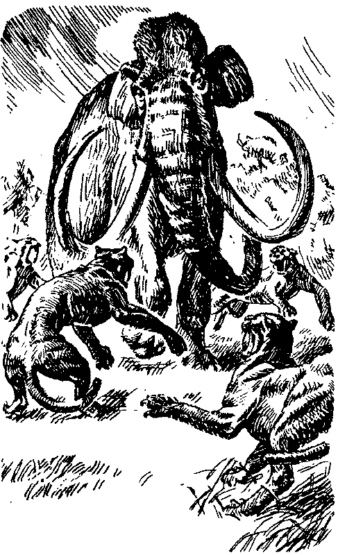 Тарзан в Пеллюсидаре id98134__9.png
