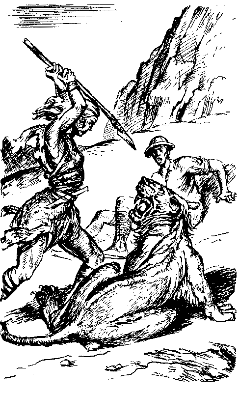 Тарзан в Пеллюсидаре id98134__12.png