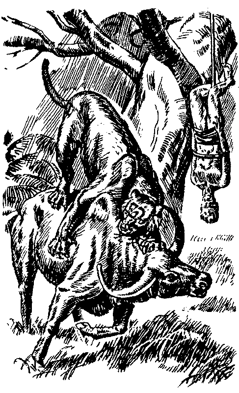 Тарзан в Пеллюсидаре id98134__7.png