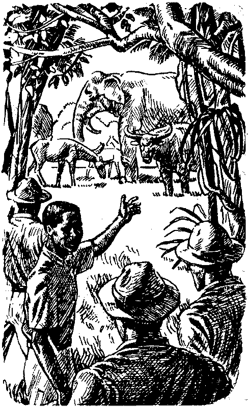 Тарзан в Пеллюсидаре id98134__8.png
