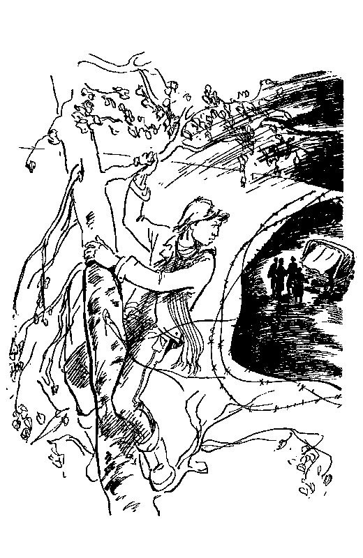 Выше Радуги (сборник) pic_24.png