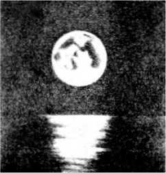 i_037.jpg