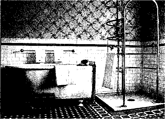 Английский дом. Интимная история image49.png