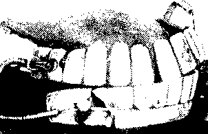 Английский дом. Интимная история image51.png