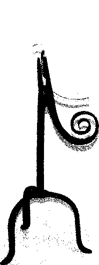 Английский дом. Интимная история image72.png