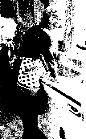 Английский дом. Интимная история image100.png