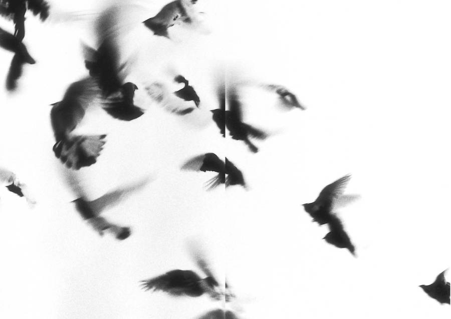 Extremely Loud and Incredibly Close _44.jpg