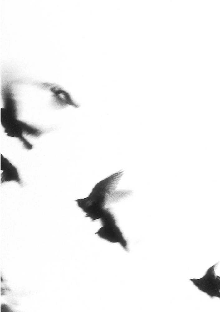 Extremely Loud and Incredibly Close _46.jpg