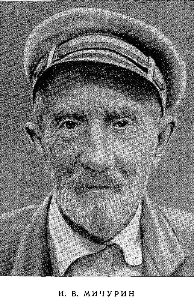 Преобразователи природы растений. К. А. Тимирязев, И. В. Мичурин, Т. Д. Лысенко _8.jpg