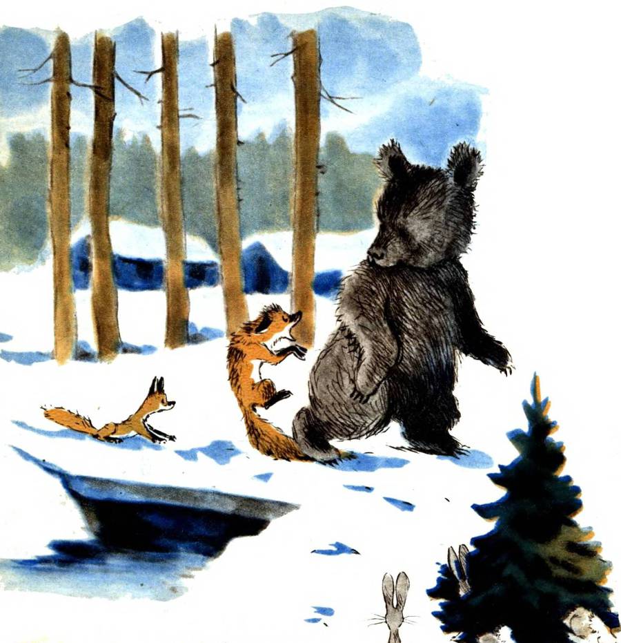 Почему медведь зимой спит _3.jpg