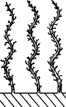Взрасти свой сад img_15.png