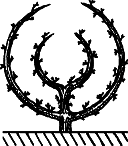 Взрасти свой сад img_21.png