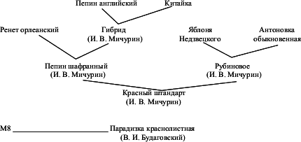 Взрасти свой сад img_1.png