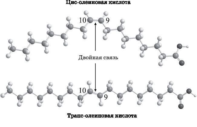 Абсолютный минимум. Как квантовая теория объясняет наш мир i_106.jpg