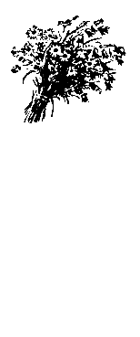 Чапаев (илл. В. Щеглов) pic_26.png