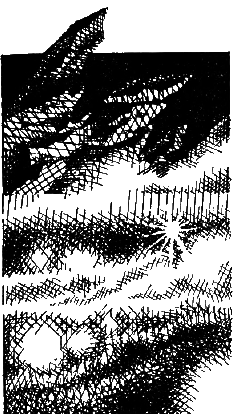 Исчезнувшая Луна (сборник) i_017.png
