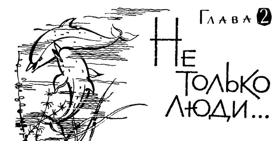 Алло, робот _19.jpg