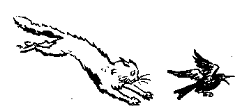 Катя и Крокодил (илл. Калаушина Б.М.) pic_89.png