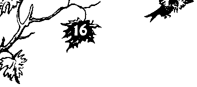 Катя и Крокодил (илл. Калаушина Б.М.) pic_56.png