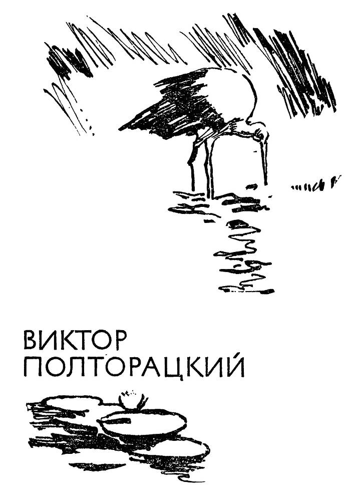 След человеческий _2.jpg
