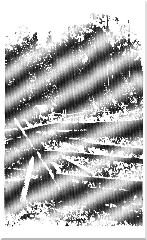 Старая скворечня (сборник) i_008.jpg
