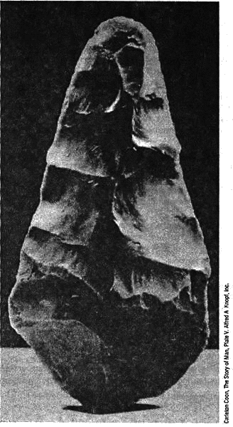 Восхождение Запада. История человеческого сообщества i_001.png