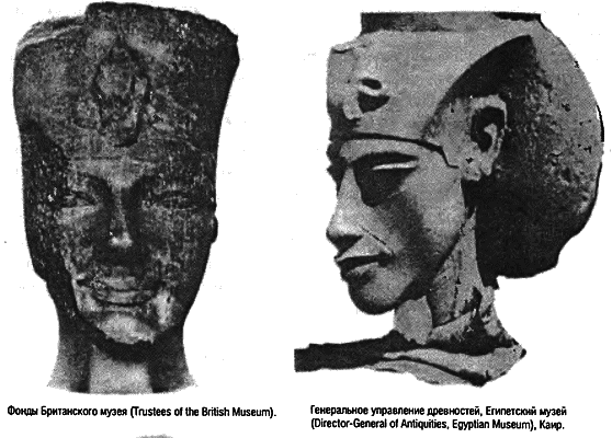 Восхождение Запада. История человеческого сообщества i_039.png