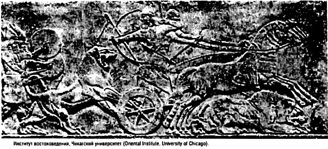 Восхождение Запада. История человеческого сообщества i_041.png