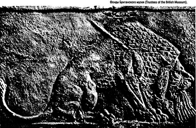 Восхождение Запада. История человеческого сообщества i_042.png