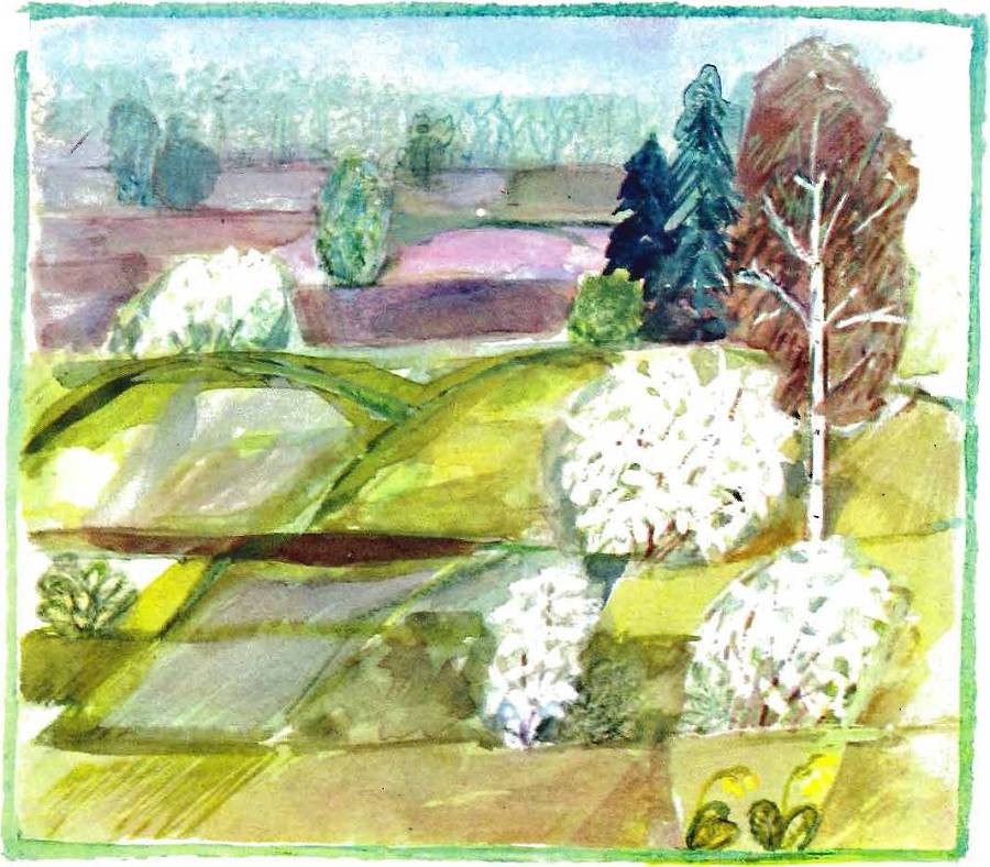 Солнце на дорожке _22.jpg