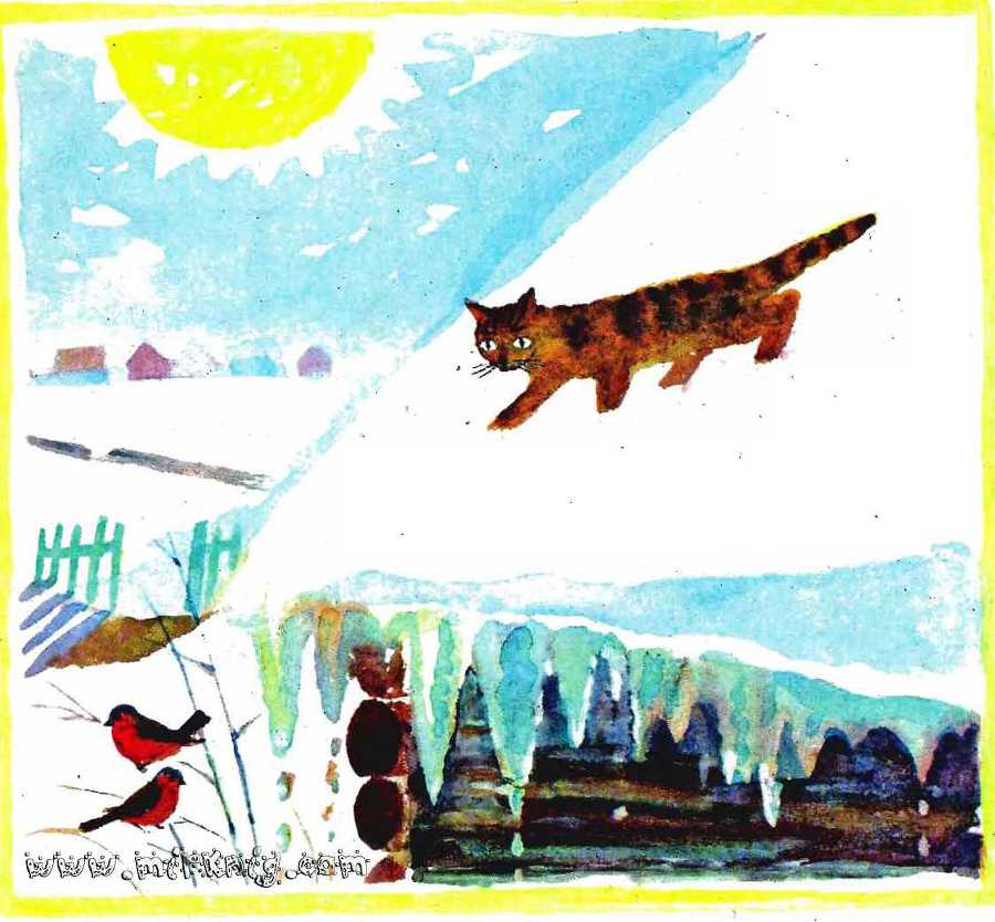 Солнце на дорожке _6.jpg