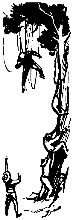 Следствие сквозь века pic_52.png