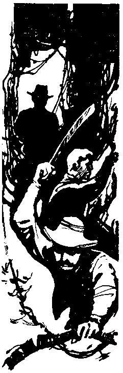 Следствие сквозь века pic_63.png