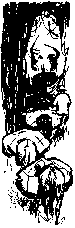 Следствие сквозь века pic_26.png