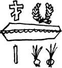i_029.jpg
