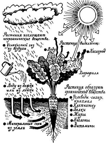 i_035.jpg