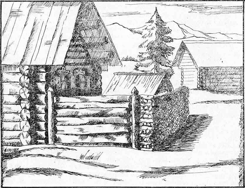 Разрыв-трава _0006.jpg