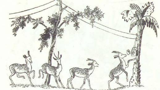 Сказки (илл. Конашевича В.М.) _14.jpg