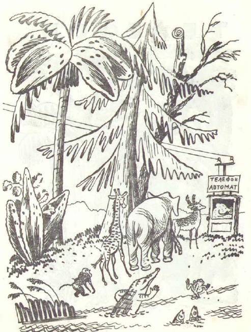 Сказки (илл. Конашевича В.М.) _4.jpg