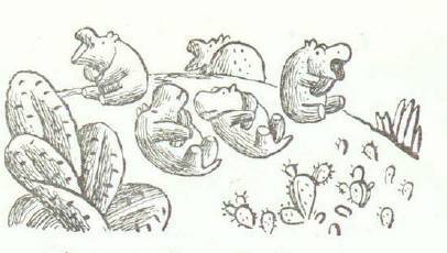 Сказки (илл. Конашевича В.М.) _132.jpg